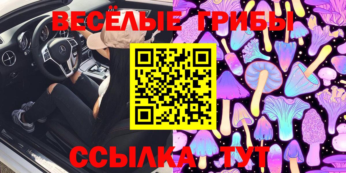 Псилоцибиновые грибы Psilocybe  Вход с VPN  Дедовск  Галлюциногенные грибы ЛСД 